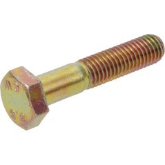Bolt - 0002355341KR