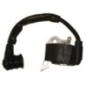 Ignition module - 00004001306KR