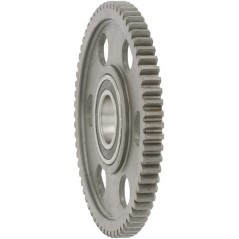Spur gear - 002530300N