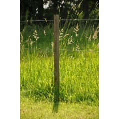 Palik ogrodzeniowy Drewno 95cm x 26mm brązowy Gallagher - 007618GAL