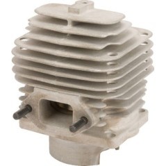 Cylinder and Piston - 12122