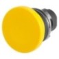 Push button - 020PFG