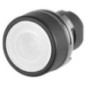 Illuminated push button - 020PPLIB