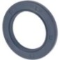 Dichtung Geringhoff - 041261N