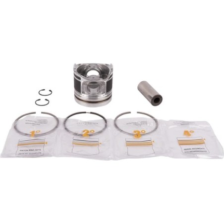 Brakes - Brake Pistons – produkty dostępne w rolniczeczesci.pl