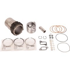 Piston and liner assembly - 03360065A