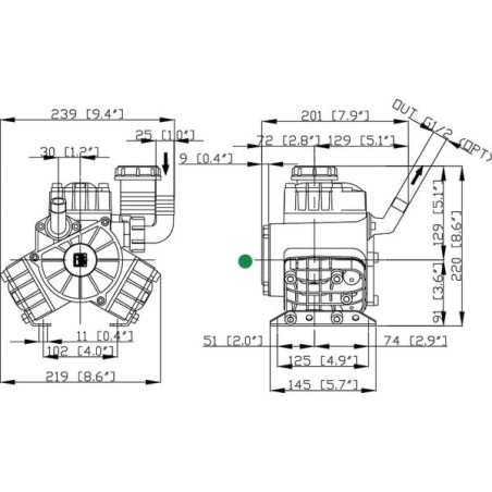 Pompa PA 330.1-VF Bertolini - 036014973VF