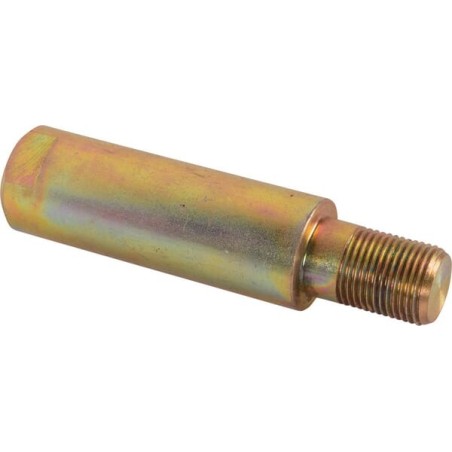 Bolzen - 04374253020N