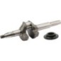 Crankshaft - 06131Z8DW50 Crankshaft - 06131Z8DW50
