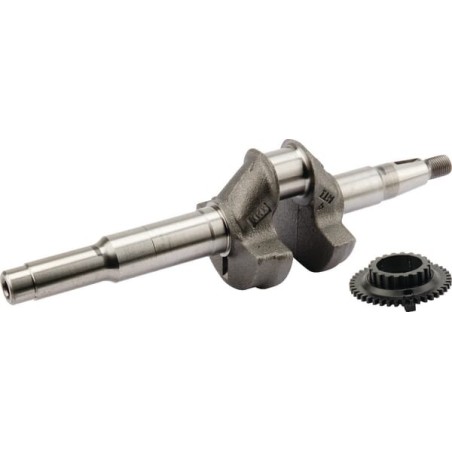 Crankshaft - 06131Z8DW50