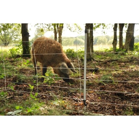 Siatka ogrodzeniowa do ochrony przed dzikimi zwierzętami 75 cm x 50 m - 062973GAL