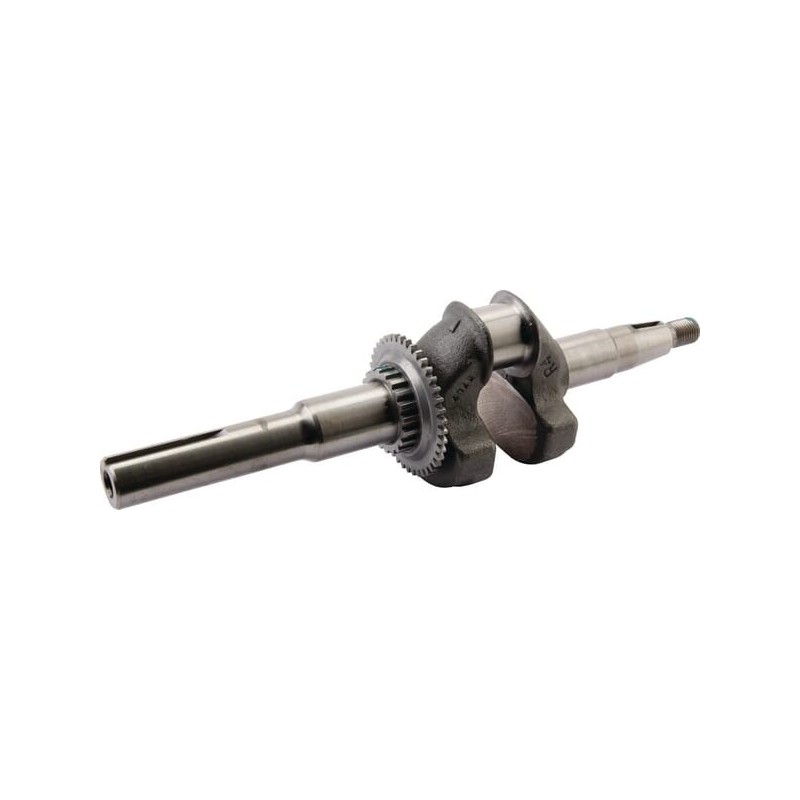 Crankshaft kit - 06131Z8DW20