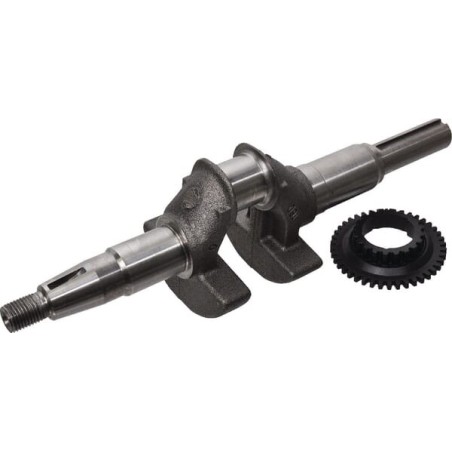 Crankshaft kit - 06131Z8AW00