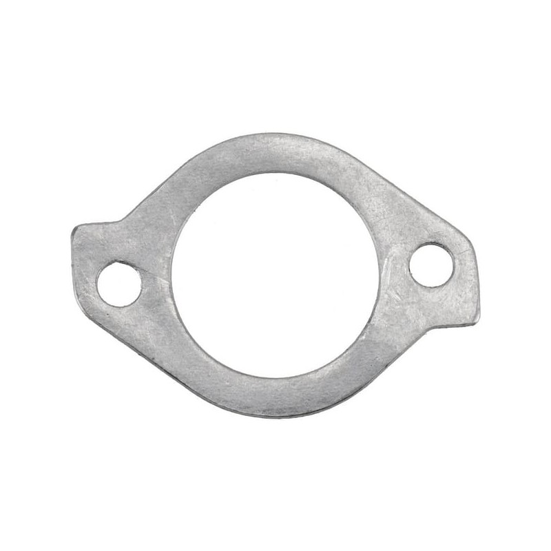 Dichtung Thermostat - 1000012548