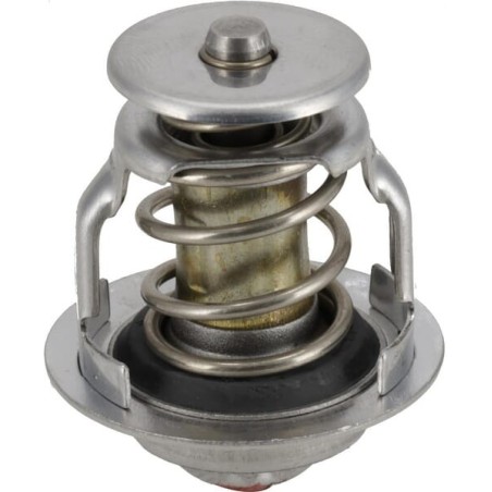 Thermostat - 1000115256