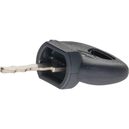 Ignition Key - 1000211833