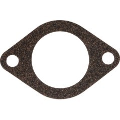 Thermostat - 1000200054