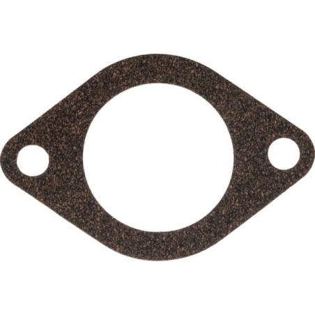 Termostat - 1000200054