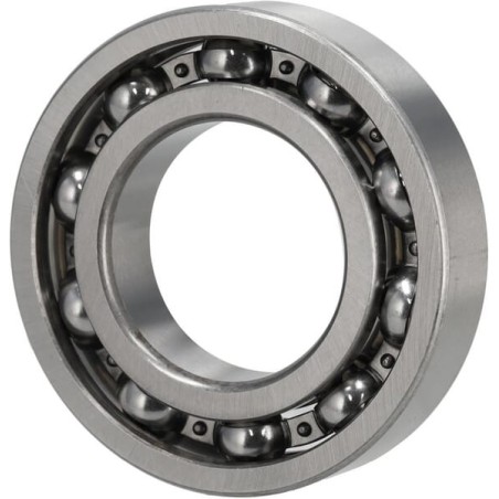 Bearing - 1000050204