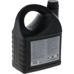 Motoröl SAE30 5L - 100009E