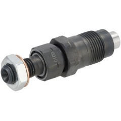 Nozzle assembly - 1000199806