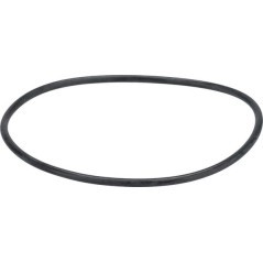 1000182321 Weidemann, Thermostate 