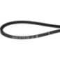 V-belt - 1000108958