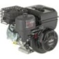 Engine, horizontal, 3.5 HP, 55 - 0831320011F1