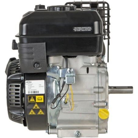Engine, horizontal, 3.5 HP, 55 - 0831320011F1