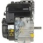 Engine, horizontal, 3.5 HP, 55 - 0831320011F1