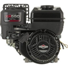 0831320011F1 Briggs & Stratton, Complete engines 