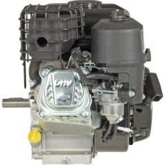 0831320011F1 Briggs & Stratton, Complete engines 