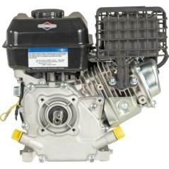 0831320011F1 Briggs & Stratton, Complete engines 