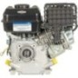 Engine, horizontal, 3.5 HP, 55 - 0831320011F1
