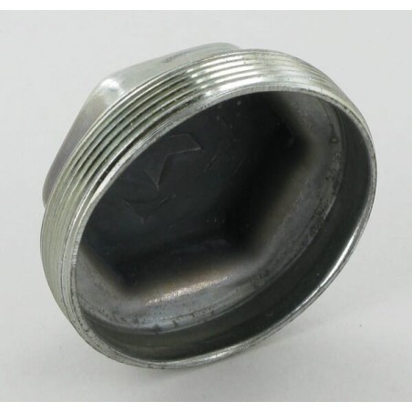 Dust cap - 101020196