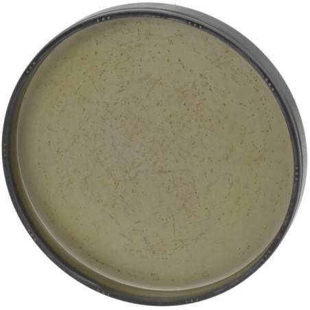 Cup 80X10 - 1005773