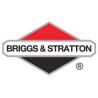 Briggs & Stratton